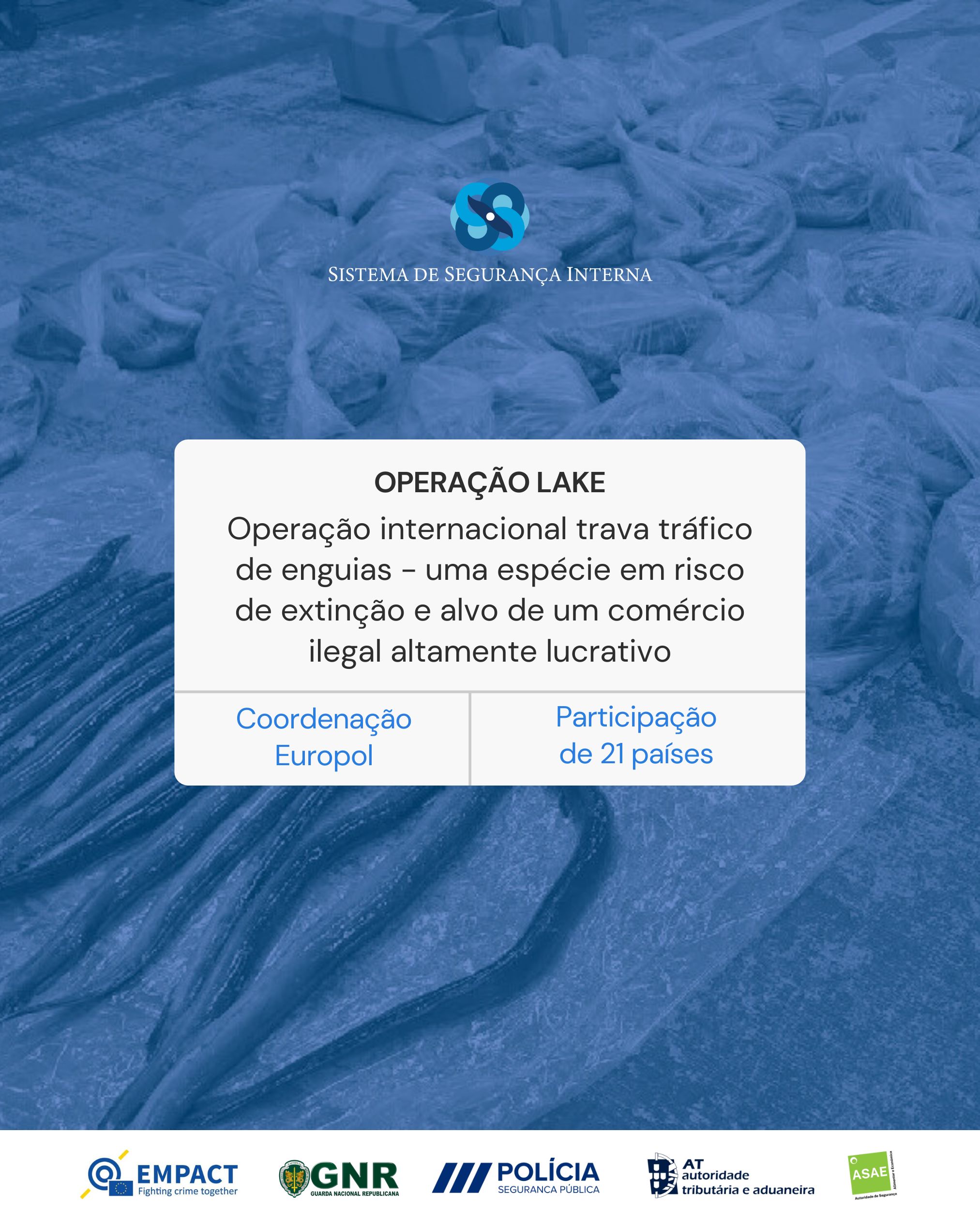 Operação EMPACT no combate ao tráfico de enguias